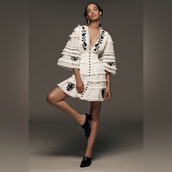 Anthropologie Dresses & Skirts - Anthropologie Embroidered V-Neck Ruffled Mini Dress, NWOT, Size 1X